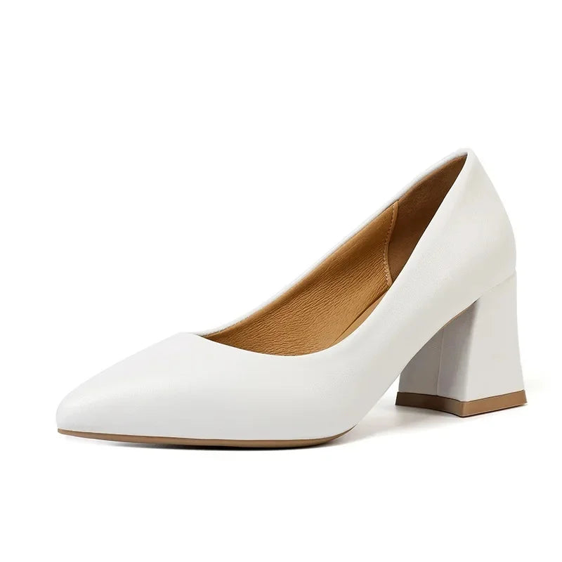 Scarpin Salto Couro Flex Bico Fino AI1303