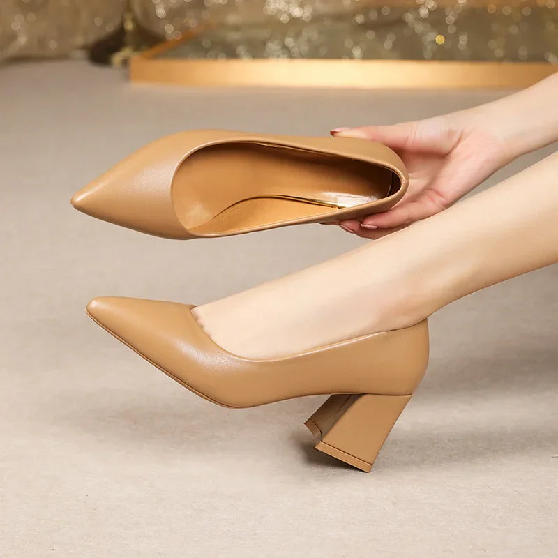 Scarpin Salto Couro Flex Bico Fino AI1303