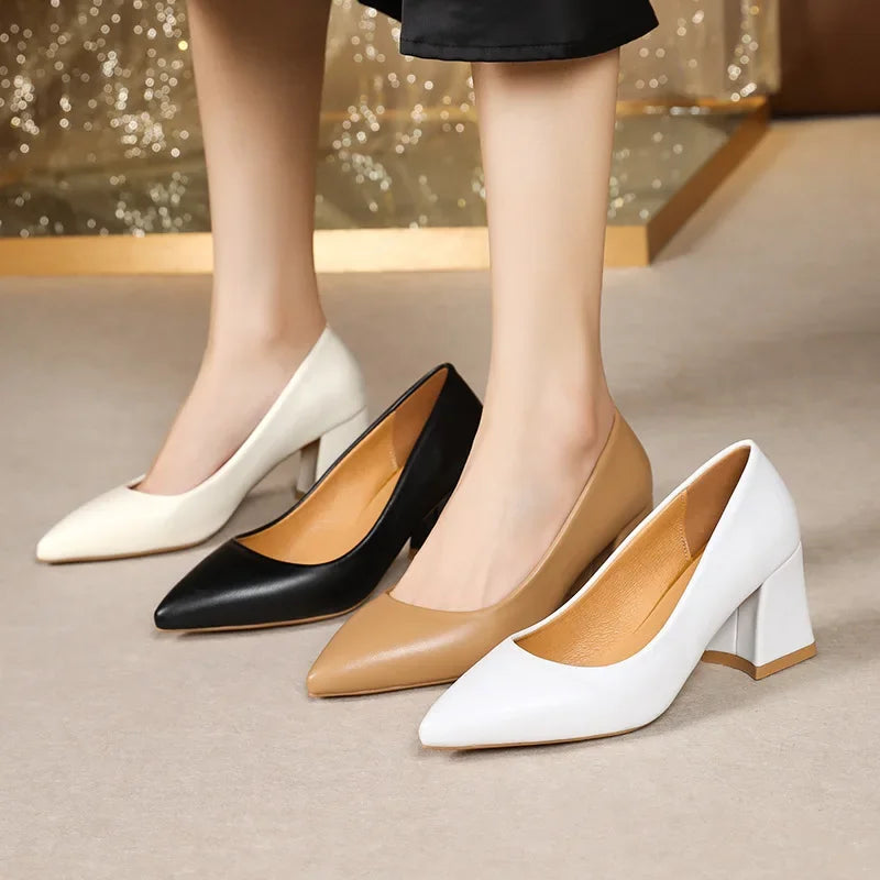 Scarpin Salto Couro Flex Bico Fino AI1303