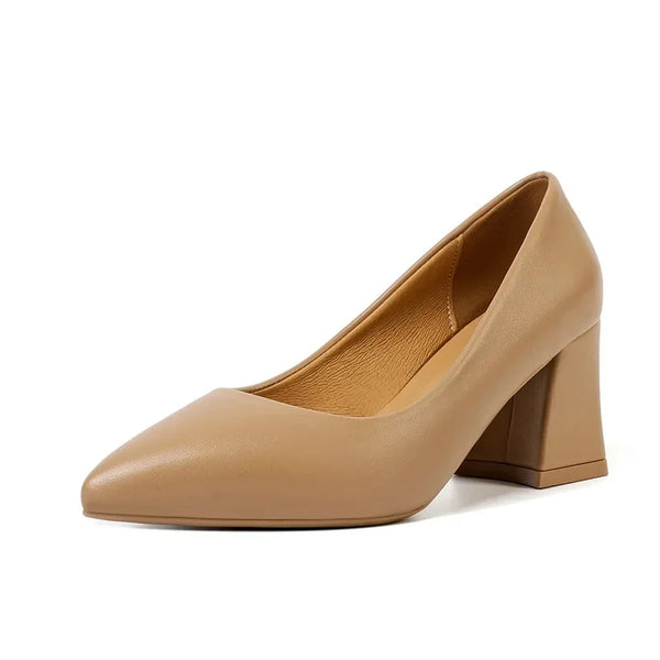 Scarpin Salto Couro Flex Bico Fino AI1303