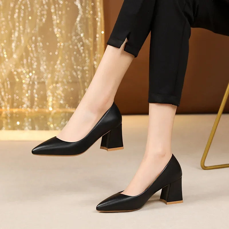 Scarpin Salto Couro Flex Bico Fino AI1303