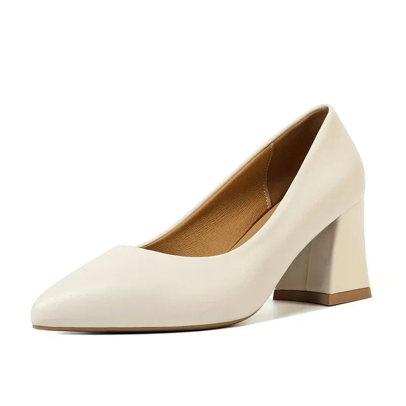 Scarpin Salto Couro Flex Bico Fino AI1303
