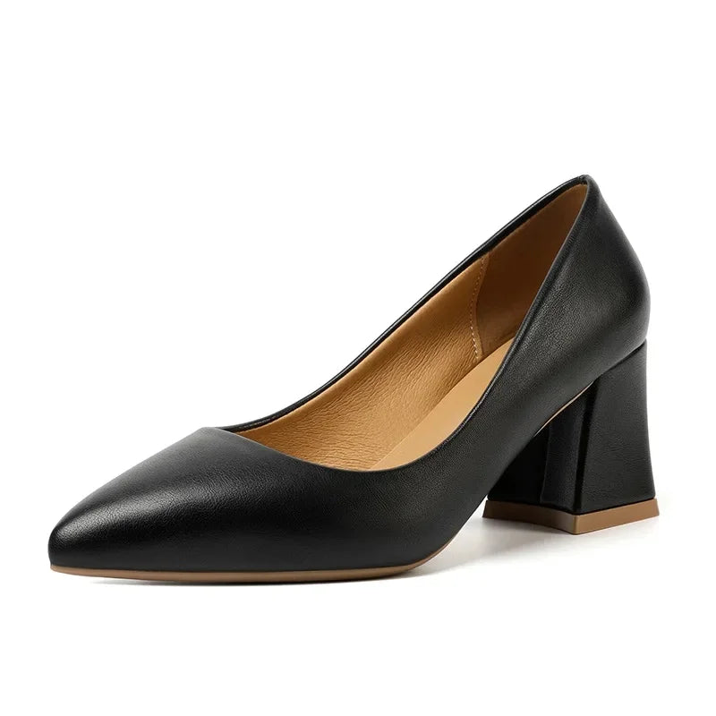 Scarpin Salto Couro Flex Bico Fino AI1303